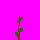 Sapling1